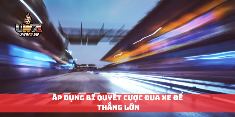 Áp dụng bí quyết cược đua xe để thắng lớn