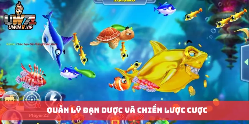 Quản lý đạn dược và chiến lược cược