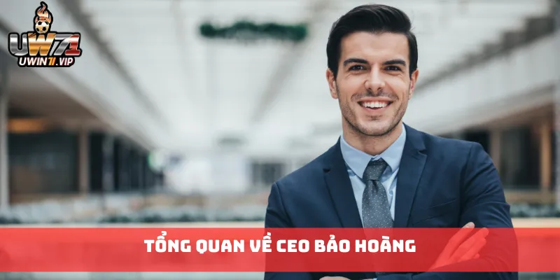 Tổng quan về CEO Bảo Hoàng