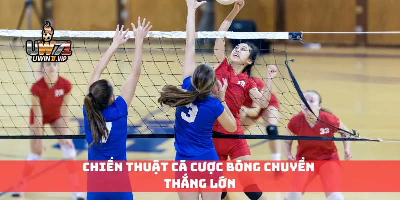 Chiến thuật cá cược bóng chuyền thắng lớn