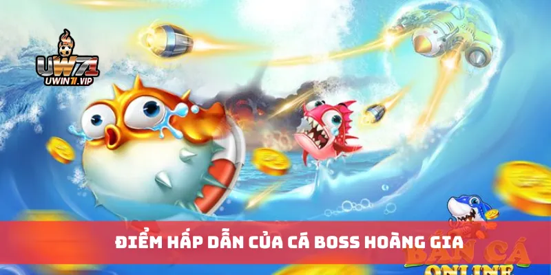 Điểm hấp dẫn của cá boss hoàng gia