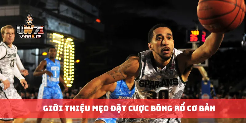 Giới thiệu mẹo đặt cược bóng rổ cơ bản