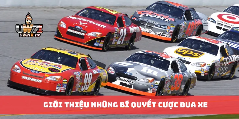 Giới thiệu những bí quyết cược đua xe