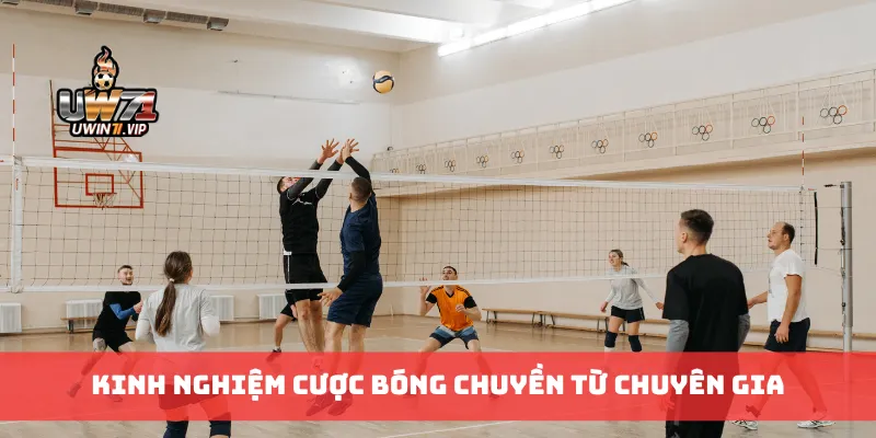 Kinh nghiệm cược bóng chuyền từ chuyên gia