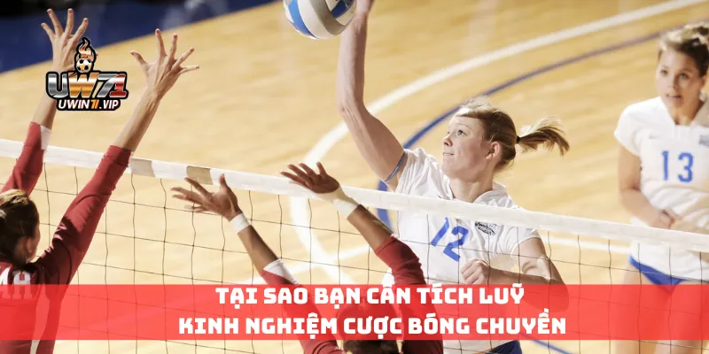 Tại sao bạn cần tích luỹ kinh nghiệm cược bóng chuyền